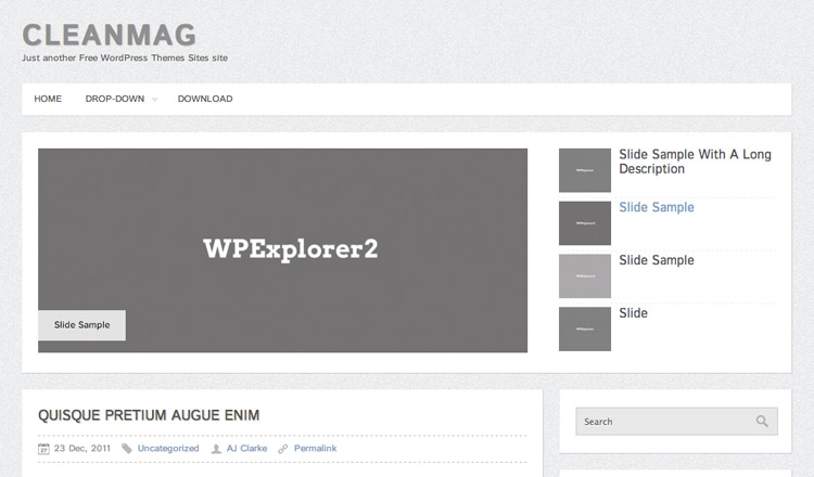 CleanMag WordPress Theme CleanMag - Best Free WordPress Theme 2021
