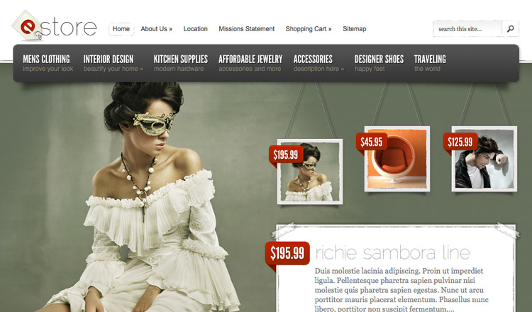 eStore WordPress Theme eStore - Best Ecommerce WordPress Theme 2021